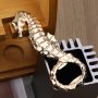 Seahorse Refrigerator Magnet Bottle Opener